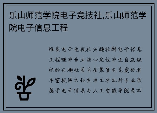 乐山师范学院电子竞技社,乐山师范学院电子信息工程